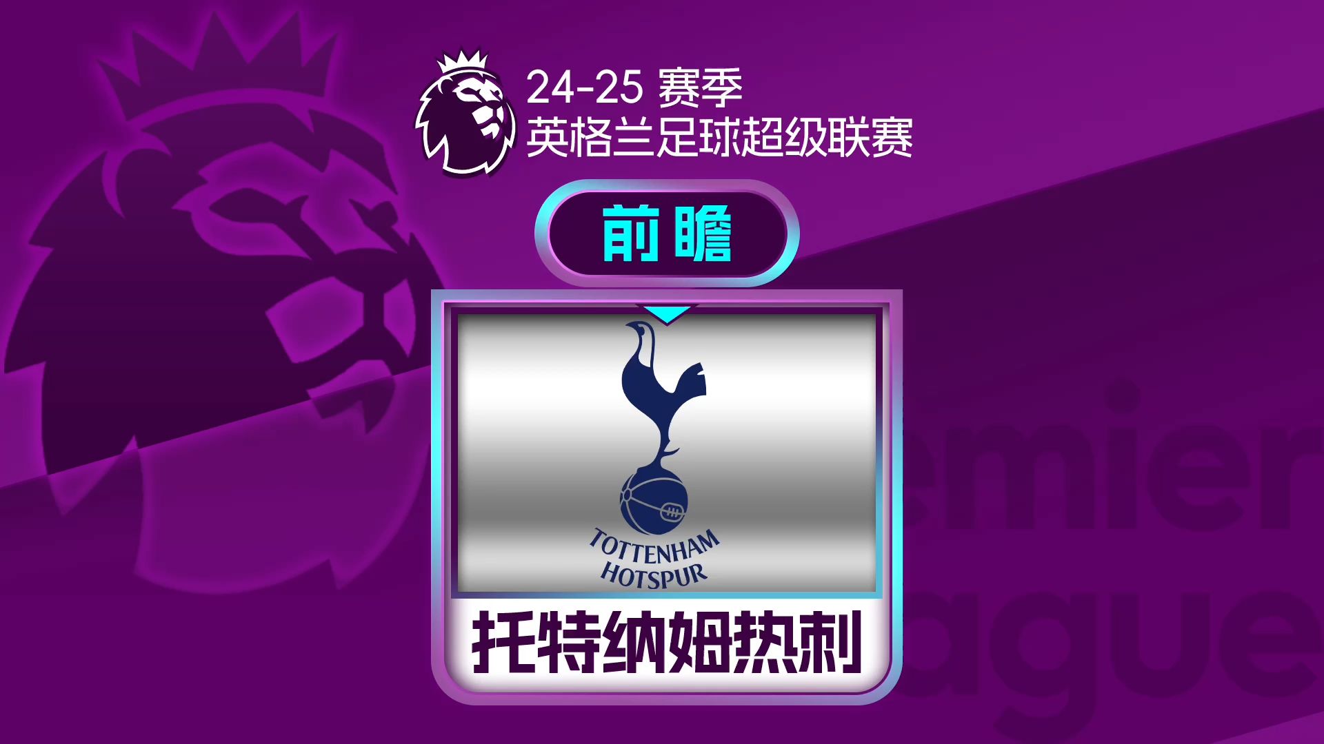 乐动体育官方网站托特纳姆热刺强势登顶，稳坐英超宝座
